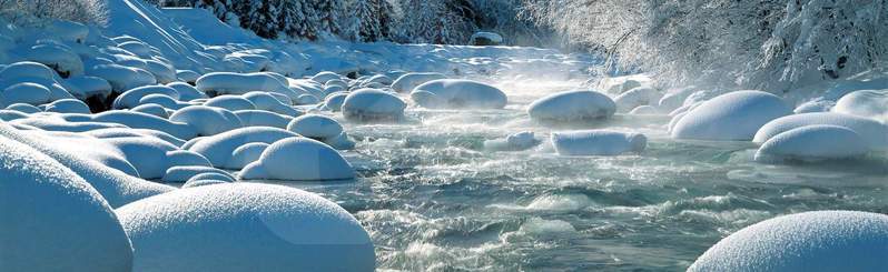 Bayerischer Wald